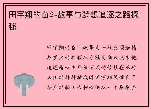 田宇翔的奋斗故事与梦想追逐之路探秘