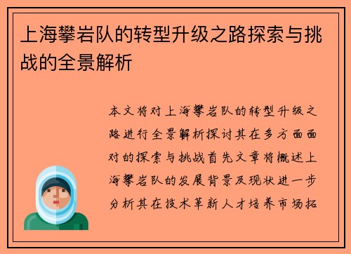 上海攀岩队的转型升级之路探索与挑战的全景解析