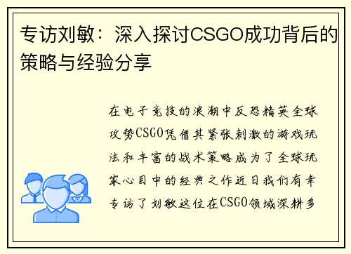 专访刘敏：深入探讨CSGO成功背后的策略与经验分享