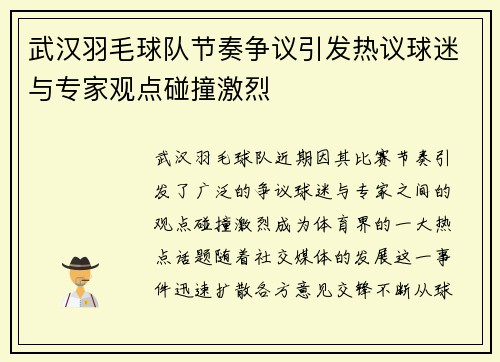 武汉羽毛球队节奏争议引发热议球迷与专家观点碰撞激烈